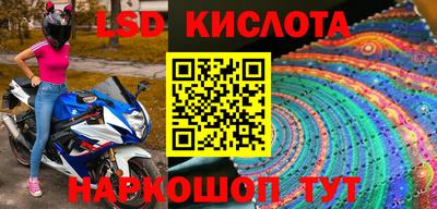 прущие крисы Будённовск
